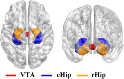 Interaction effects between smoking and internet gaming disorder on resting-state functional connectivity of the ventral tegmental area and hippocampus